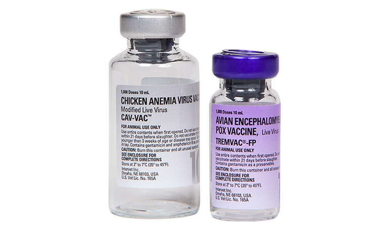 TREMVAC FP+DILUANT