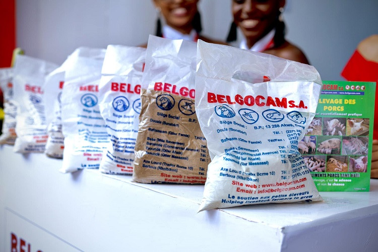 BELGOTOX sac de 1 kg