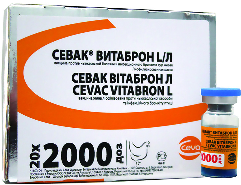 VITABRON L 2000 DOSES