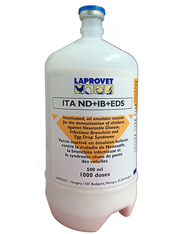 ITA ND+IB+EDS  1000 DOSES