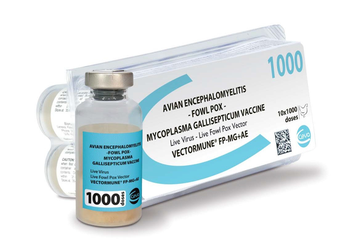 VECTORMUNE FP MG+AE 1000 DOSES+DILUANT
