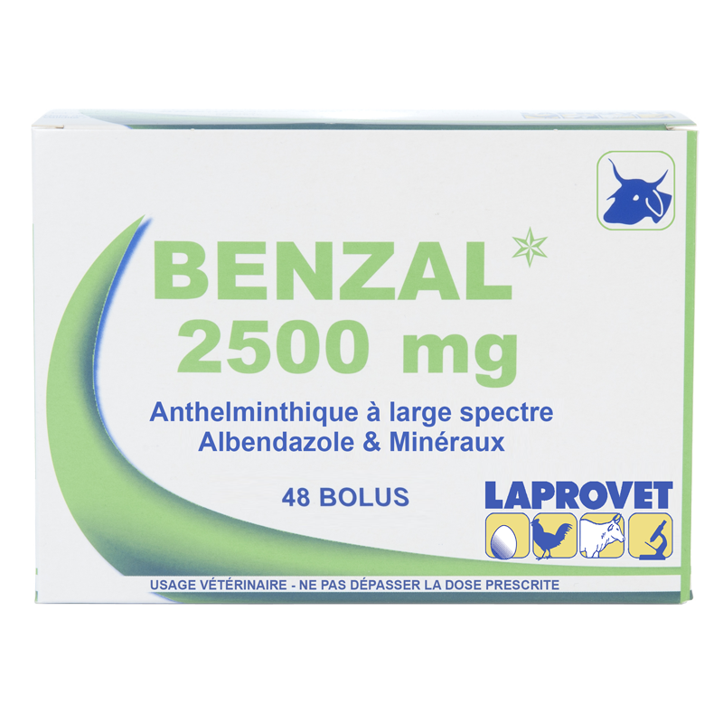 BENZAL 48*2500MG