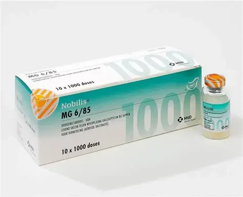 NOBILIS MG 6/85 1000 DOSES
