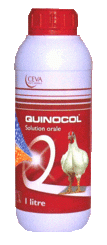QUINOCOL 1L