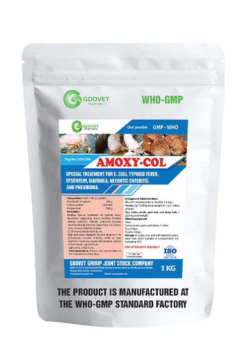 AMOXY-COL 1KG